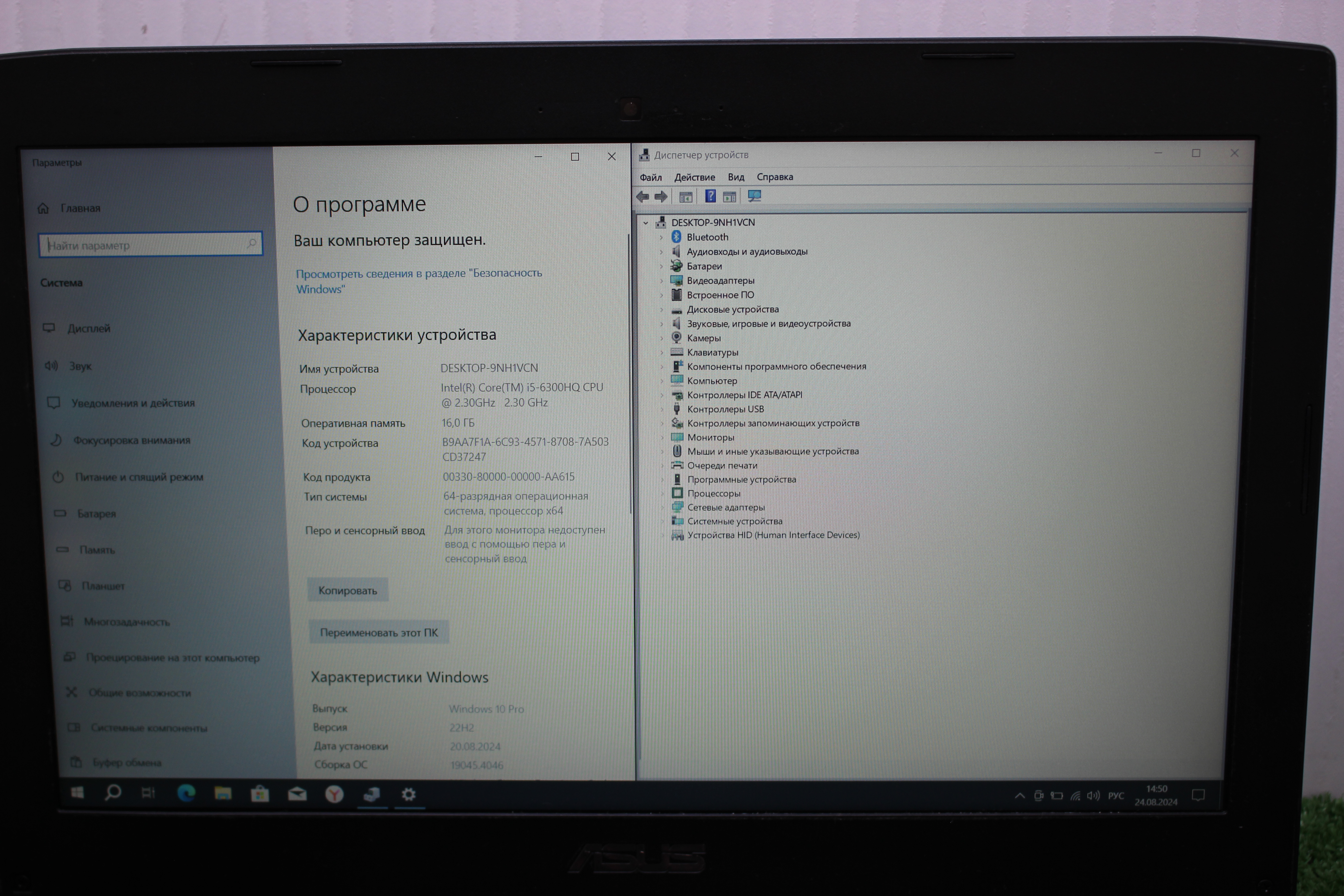 IMG_1887