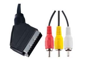 S8101